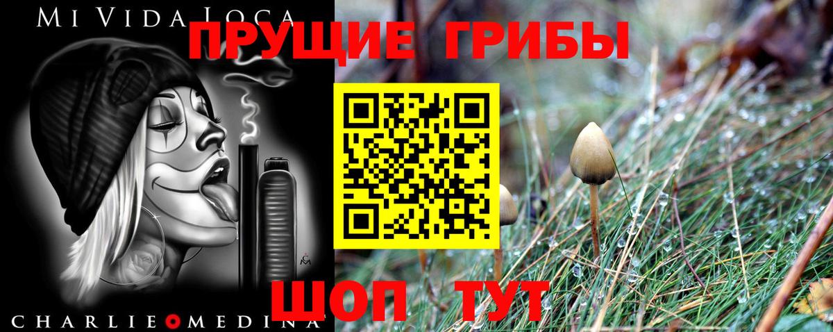 Галлюциногенные грибы прущие грибы Сергиев Посад