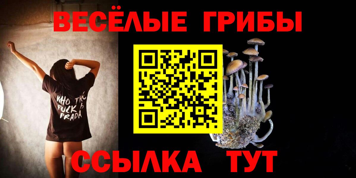 Сергиев Посад  Псилоцибиновые грибы Cubensis  Вход с VPN 